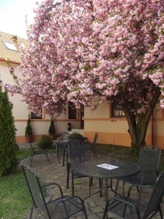 Pannon Hotel Bejelentkezes 20 Oraig, Check-In Until 20 O'Clock, Einchecken Bis 20 Uhr Mohács エクステリア 写真